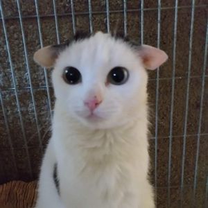 Meet your Posher, Avery